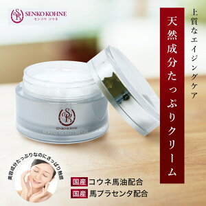 REl CX`[Q ( ێN[ ) SEF003 N[  p tFCXN[ XLPA CX`[ CX`[WF WF  e n   ь ێ  qA_ 