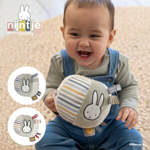miffy ~btB[ xr[{[ tbtB[ |  ߋ I` MtgoYj v`Mtg  u[ sN {[ xr[gC xr[Mtg z 킢 NX}X v[g