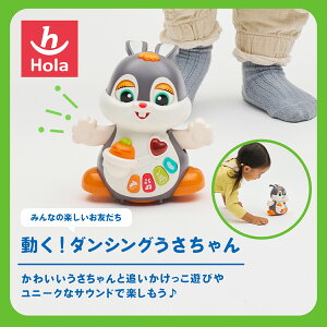 HolaToys IgCY !_VO |  ̂   I` ߋ Ԃ xr[ q qǂ ǂ av[g a  NX}X v[
