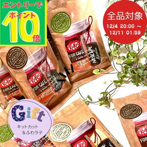 yX[p[SALEGg[Ń|Cg10{IzLbgJbg  ӂ탉e v`MtgZbg E  Ƃ َq  z肨َq Mtg zpَq EꕜA v[