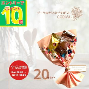 yX[p[SALEGg[Ń|Cg10{IzGODIVA SfBo }X^[s[X 20Zbg َqu[P zp Mtg َ̂q XC[cMtg zMtg `Rlߍ킹 `