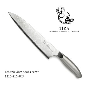 iiza  1210-210 ECHIZEN JAPAN
