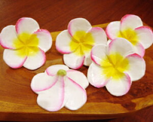 yHUGIWiz EbhvA5PZbg^sNC