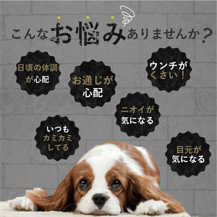 楽天市場】aikona+ あいこなプラス アイコナ 犬用 サプリメント 犬 食 