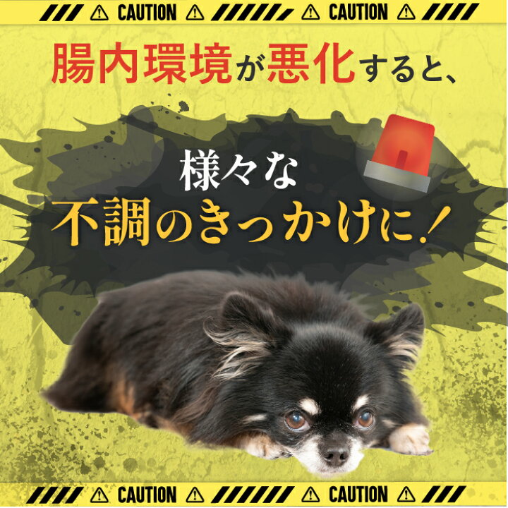 楽天市場】aikona+ あいこなプラス アイコナ 犬用 サプリメント 犬 食 