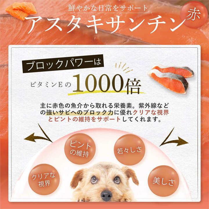 楽天市場】amure-アミュレ- 犬用 サプリメント【送料無料】【公式 