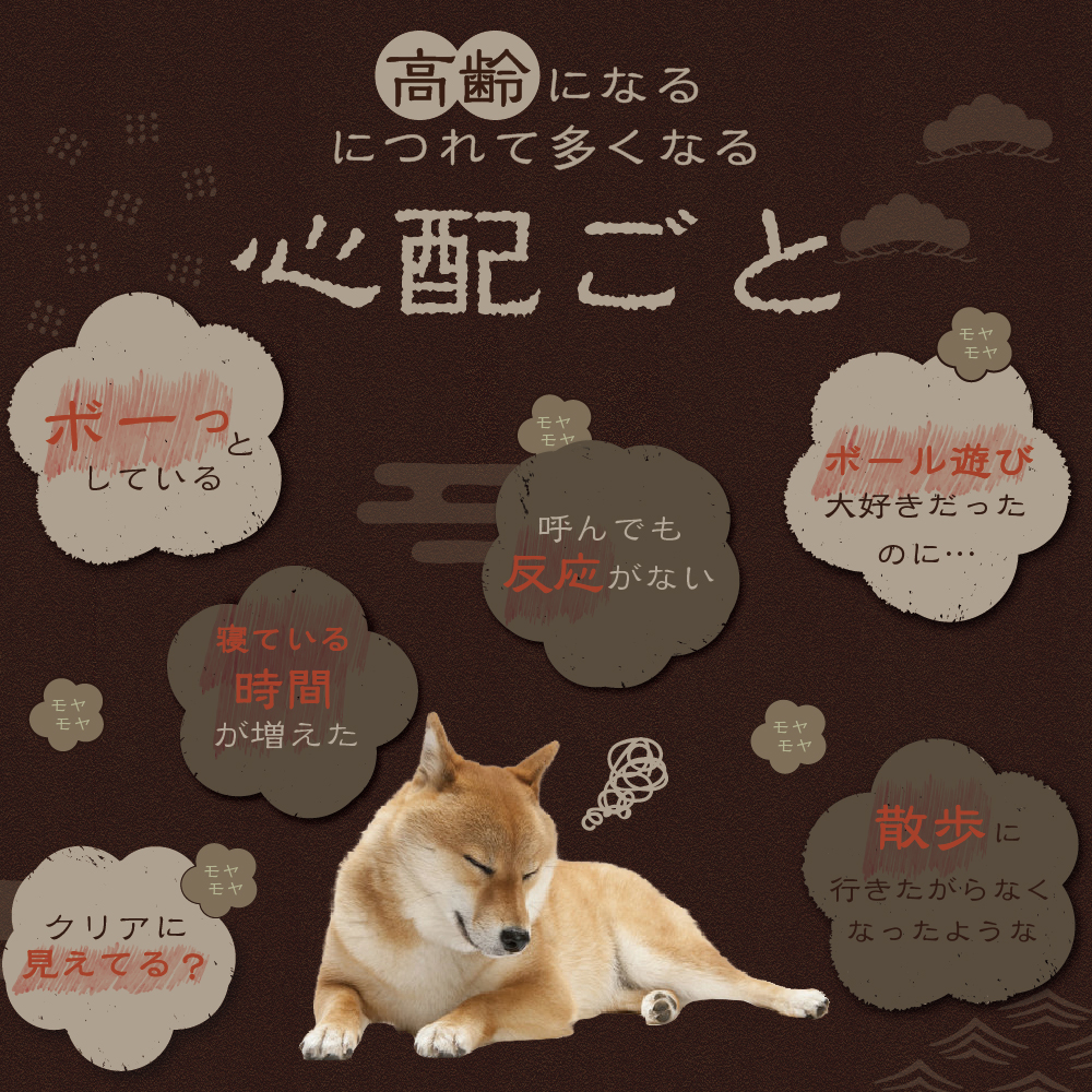 楽天市場】amure-アミュレ- 犬用 サプリメント 1袋【送料無料】【公式