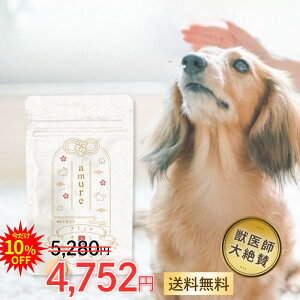 yGg[Ń|Cg10{z amure-A~- p Tvg  h{ Tv ͂ gbsO  VjA   {P  ֐߃PA ֐߃Tv AX^LT` ORT~ 