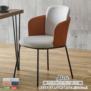 U[ƃt@ubN̑gݍ킹@_CjO`FA 1rPiyAlexiz