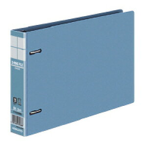 y1000~ ۂ zRN DOt@B ĐPP\ B6 200e (1)