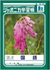 VE W|jJwK  15s JL-13 4