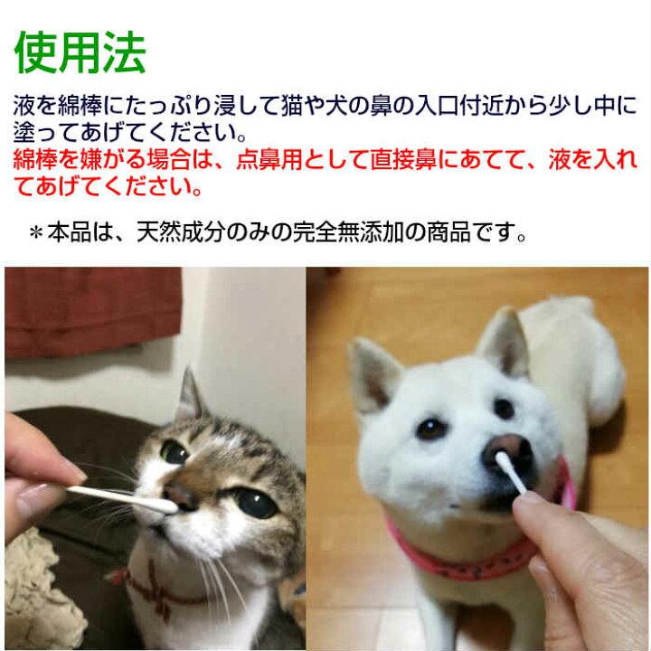 楽天市場 猫の鼻水に 犬の鼻水に はならくsp 猫用鼻水対策 犬用鼻水対策 鼻づまり ペット用鼻水対策 鼻炎 花粉症 副作用なし 眠くならない 猫の鼻水対策商品 犬の鼻水対策商品 鼻炎薬ではない 花粉症薬ではない 鼻水鼻づまり専門店ふくちゃん本舗 楽天市場 猫の鼻水に 犬の鼻水に はならくsp 猫用鼻水対策 犬用鼻水対策 鼻づまり ペット用鼻水対策 鼻炎 花粉症 副作用なし 眠くならない 猫の鼻水対策商品 犬の鼻水対策商品 鼻炎薬ではない 花粉症薬ではない 鼻水鼻づまり専門店ふくちゃん本舗