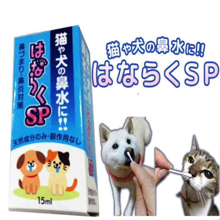 楽天市場 猫の鼻水に 犬の鼻水に はならくsp 猫用鼻水対策 犬用鼻水対策 鼻づまり ペット用鼻水対策 鼻炎 花粉症 副作用なし 眠くならない 猫の鼻水対策商品 犬の鼻水対策商品 鼻炎薬ではない 花粉症薬ではない 鼻水鼻づまり専門店ふくちゃん本舗