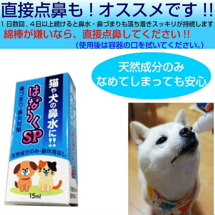 楽天市場 猫の鼻水に 犬の鼻水に はならくsp 猫用鼻水対策 犬用鼻水対策 鼻づまり ペット用鼻水対策 鼻炎 花粉症 副作用なし 眠くならない 猫の鼻水対策商品 犬の鼻水対策商品 鼻炎薬ではない 花粉症薬ではない 鼻水鼻づまり専門店ふくちゃん本舗 楽天市場 猫の鼻水に 犬の鼻水に はならくsp 猫用鼻水対策 犬用鼻水対策 鼻づまり ペット用鼻水対策 鼻炎 花粉症 副作用なし 眠くならない 猫の鼻水対策商品 犬の鼻水対策商品 鼻炎薬ではない 花粉症薬ではない 鼻水鼻づまり専門店ふくちゃん本舗