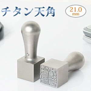  `^ @lӁ@\E@lEЈ Vo[`^ ӎД p Ј @l  @l͂ ꐶUۏ F`^ Vp 21mm