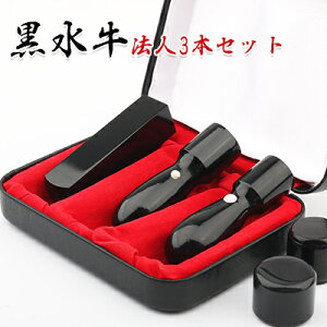 Xs[hoׁ@@l 3{Zbg  Ј @l ӃZbg @l  3{Zbg@Vێ18.0mm+Vۋs16.5mm+pF18.0mm/21.0mm @ӃP[Xt z֔