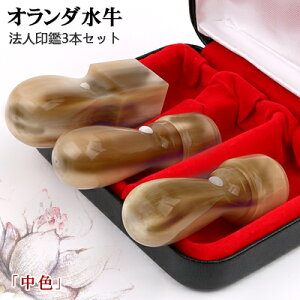 yI_z@l Ј ӃZbg  10Nۏ  Ј I_[F]3{Zbg Vێ18.0mm+Vۋs16.5mm+p21.0mm @lӃP[X z֔