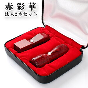 ԍʉ؃TCJ 2{Zbg [V]16.5mm+p21.0mm ӃP[Xt z֔