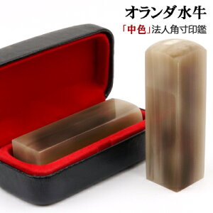 @l͂ @l 10Nۏ؁EemF i I_ ЈEp  I_[F] p21.0mm z֔