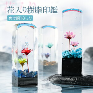 yz   p s q ͂ F F߈ s  킢 18~ J[nR Mtg  3FIׂ ANӁԓӊp18mm