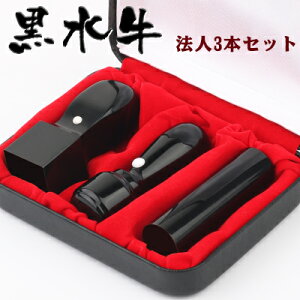 ylR|X/o׉\zЈӃZbg Ў АݗZbg @l3Zbg unR ͂ ӏؖ oL v[ɏ]3{Zbg [V]18.0mm+s[]16.5mm+p24.0m