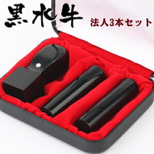 yyz12 @l  Ј ͂ ЈӃZbg  \҈  ӏؖ oL lƎ [ɏ]3{Zbg []18.0mm+s[]16.5mm+p21.0mm 