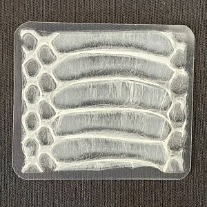 【神社で祈願】 ラミネート加工 お腹 抜け殻 抜殻 カード 白ヘビ 祈願済み 財布 祈願 開運 風水 お守り 財布 金運アップ 幸運 縁起物 プレゼント 100万 一粒万倍日 お金 お札 占い お守り 御守