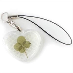 N[o[  k n[g Xgbv ANZT[ F L[z_[ v[g Mtg ւ̔k wr ^Abv   A z wr wr v  