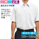 ワイシャツ 半袖 学生服 中学生 高校生 ニットシャツ スクールシャツ ラクシャツ 楽シャツ FUJI YACHT TSCOOL01 150cm…