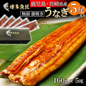 l܂ Y VĂ 5 1 160g  yp̉N̓ Vy Ȃ p  {  ^t ȒP ^pbN 񂹃O Ⓚ ȏd Ș EiM Ђ