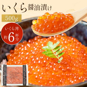 ݖЂ 500g Ղ Z ̂܂ 瘥 Ⓚ   ݖЂ  VP   芪i ЂȍՂ R Mtg lC  CN ݖ ݖ Ђ C