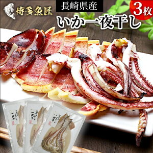 y  z 銱 茧Y J 3 CJ G   BBQ o[xL[ CNBBQ CNBBQZbg  荠 ƒp  MtgⓀ r[ CN O