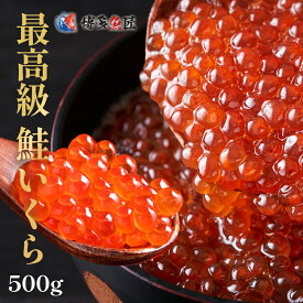 【500円OFFクーポン！】【おまけ付き】【 送料無料 】 いくら 醤油漬け サーモンキャビア 500g 最高級 3特グレード 2023年新物 【 天然秋鮭卵 】 北海道産 いくら醤油漬け イクラ 醤油漬け 500g ギフト お取り寄せグルメ 送料無料 父の日ギフト 父の日 プレゼント 実用的