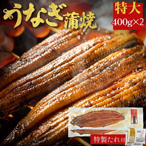 VĂ 2 400g ×2 L yp̉N̓ Y Ȃ CY 񂹃O r[ a Hו CN   Mtg O hV̓