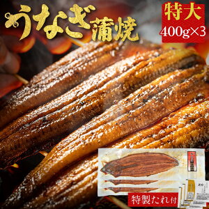 VĂ 3 400g ×3 L yp̉N̓ Y Ȃ CY 񂹃O r[ a Hו CN   Mtg O