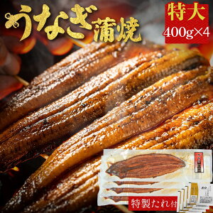 VĂ 4 400g ×4 L yp̉N̓ Y Ȃ CY 񂹃O r[ a Hו CN   Mtg O