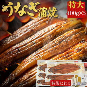 VĂ 5 400g ×5 L yp̉N̓ Y Ȃ CY 񂹃O r[ a Hו CN   Mtg O