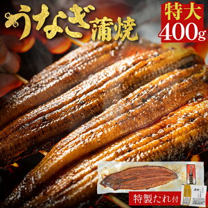 VĂ 1 400g L yp̉N̓ Y Ȃ CY 񂹃O r[ a Hו CN   Mtg O