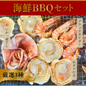 I CNBBQZbgyLubN^CK[ 10zyz^eЊL 10zyX銱 1zⓀ Gr z^e CJ BBQ ubN^CK[ X XCJ o[xL[ kt L