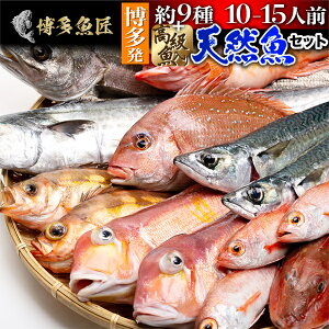高級 魚 刺身 その他の魚介類の人気商品 通販 価格比較 価格 Com