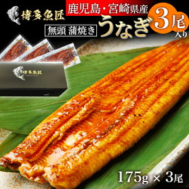 楽天市場 めでたい 食べ物の通販