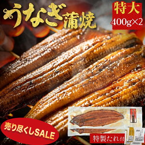 �y�Ԏ��o�做�݌ɔ���s�����z�V���Ă� 2�� 400g ×2 �L�� �����Y ���Ȃ� �C�Y�� �����񂹃O���� �r�[�� �a���� �H�ו� �C�N ������� ������ �M�t�g �O����