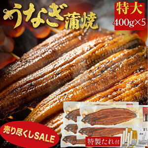 �y�Ԏ��o�做�݌ɔ���s�����z�V���Ă� 5�� 400g ×5 �L�� �����Y ���Ȃ� �C�Y�� �����񂹃O���� �r�[�� �a���� �H�ו� �C�N ������� ������ �M�t�g �O����