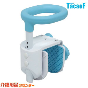 肷yKa쏊(eCRu/TacaoF)RpNg肷 YT01z肷 萠 Obv oXObv C肷 ړ ڏ肷   RpNg  ȒP