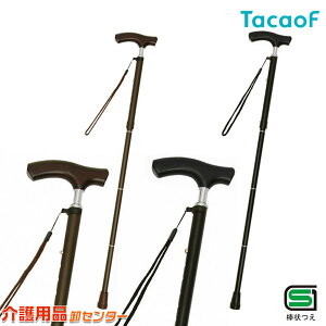 yKa쏊(TacaoF)zeCRu܂肽ݎLkXebLiׁj EON13@[܂肽ݏ] [SG}[N]