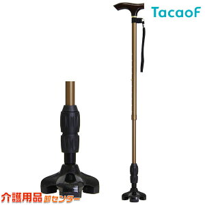 yKa쏊(TacaoF)zeCRugvSXebL CAE11 [r] [] []