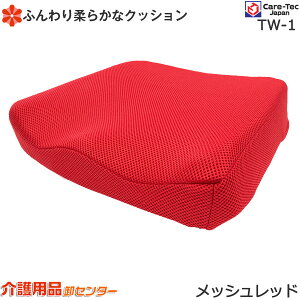 Ԉ֎q NbV yԈ֎qƓw2000~zyPAebNWp Ԉ֎qp݌vNbV TW-1z ԃCX Ԃ ܂ pi  