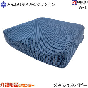 Ԉ֎q NbV yԈ֎qƓw2000~zyPAebNWp Ԉ֎qp݌vNbV TW-1z ԃCX Ԃ ܂ pi  