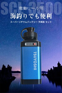 _C V}mp d[p SCL-3500 X[p[`E ݊ obe[ [d Zbg 14.8V 3500mAh@XG3500