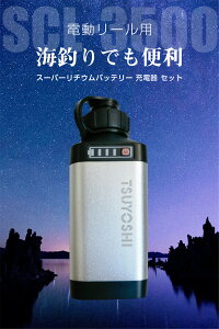 d[p SCL-3500 X[p[`E ݊ obezzI3/28z[ [d Zbg 14.8V 3500mAh@XG3500